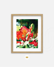 Flame Flower 2