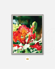 Flame Flower 2