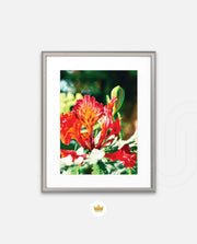 Flame Flower 2