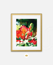 Flame Flower 2