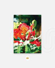 Flame Flower 2