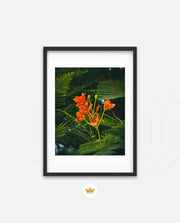 Flame Flower 3