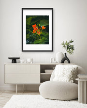 Flame Flower 3