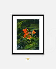 Flame Flower 3
