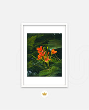 Flame Flower 3