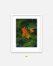 Flame Flower 3