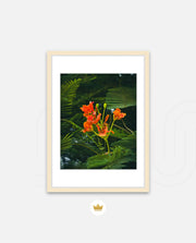 Flame Flower 3