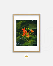 Flame Flower 3