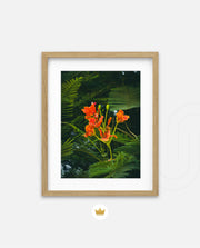 Flame Flower 3