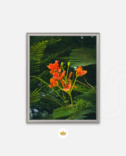 Flame Flower 3