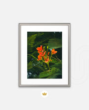 Flame Flower 3