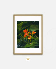 Flame Flower 3