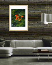 Flame Flower 3