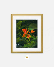 Flame Flower 3