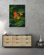 Flame Flower 3