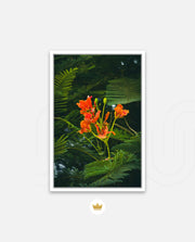 Flame Flower 3