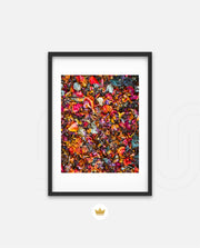 Flame Flower 4