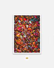 Flame Flower 4