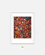 Flame Flower 4