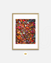 Flame Flower 4