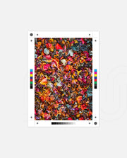 Flame Flower 4