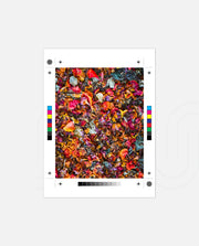 Flame Flower 4