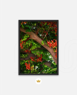 Flame Flower 5