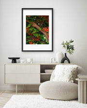 Flame Flower 5