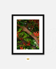 Flame Flower 5