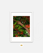 Flame Flower 5
