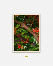 Flame Flower 5