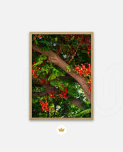 Flame Flower 5