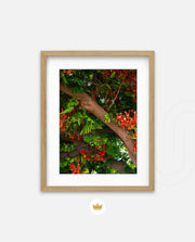 Flame Flower 5