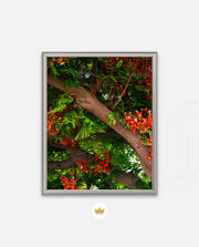 Flame Flower 5