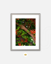 Flame Flower 5