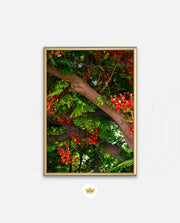 Flame Flower 5