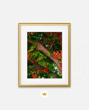 Flame Flower 5