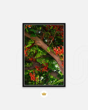 Flame Flower 5