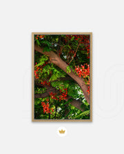 Flame Flower 5