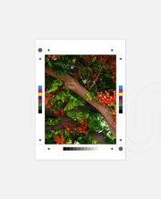 Flame Flower 5