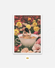 Bloom Bath