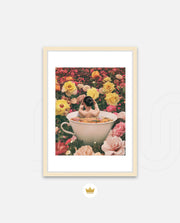 Bloom Bath
