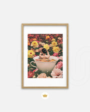 Bloom Bath