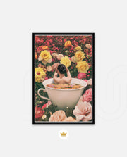 Bloom Bath