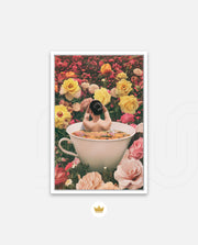 Bloom Bath