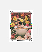 Bloom Bath
