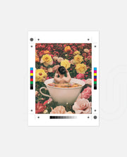 Bloom Bath