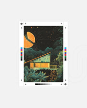 Citrus Night