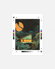 Citrus Night