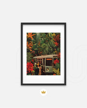 Jungle Transit